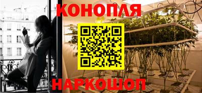 гашик Краснознаменск