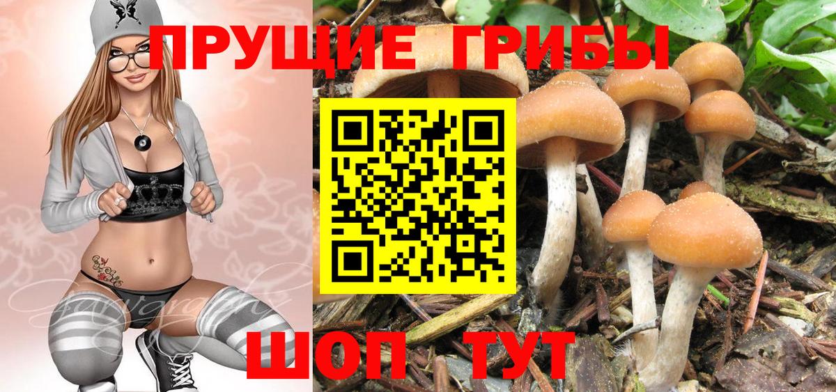 Галлюциногенные грибы Cubensis  Вход с VPN  Кольчугино  Галлюциногенные грибы GOLDEN TEACHER 